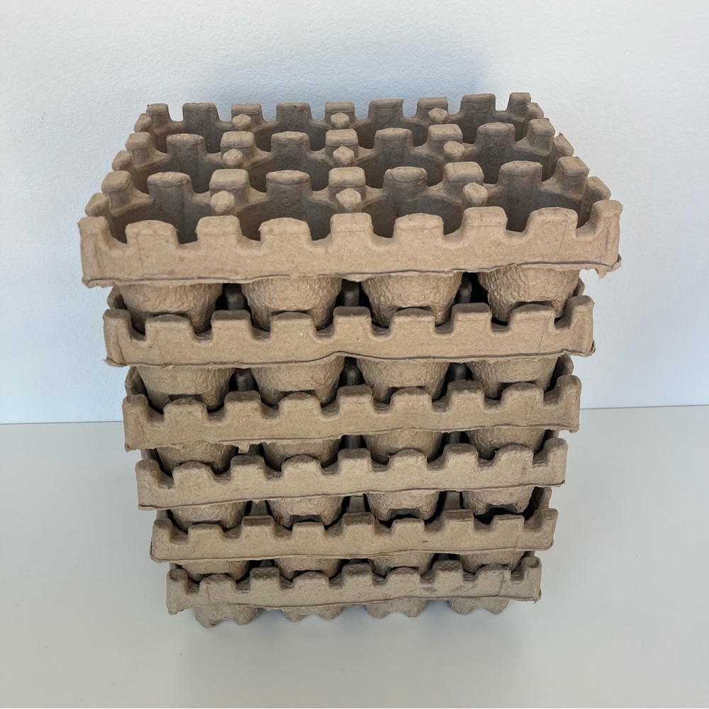 Beer Can Shipping Trays, Pack of 6